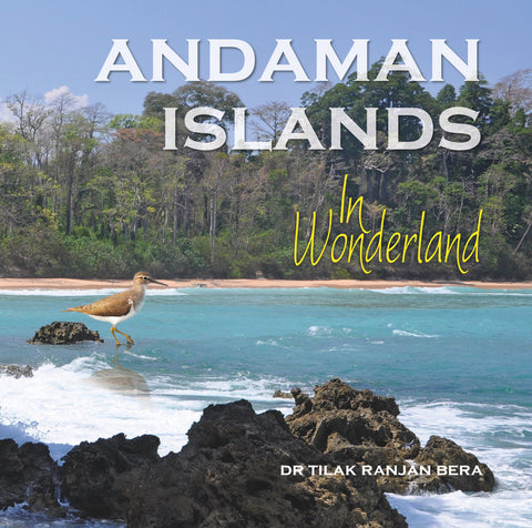 Andaman Islands:  In Wonderland